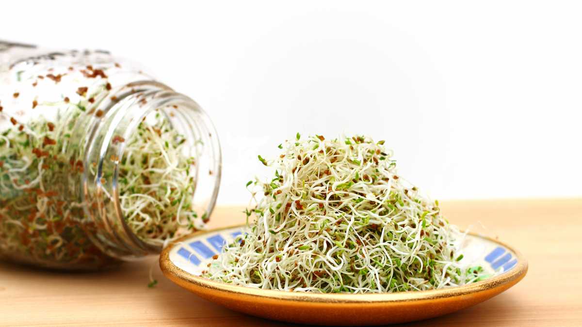 Agua de Alfalfa ¿ Que propiedades tiene para el organismo ?