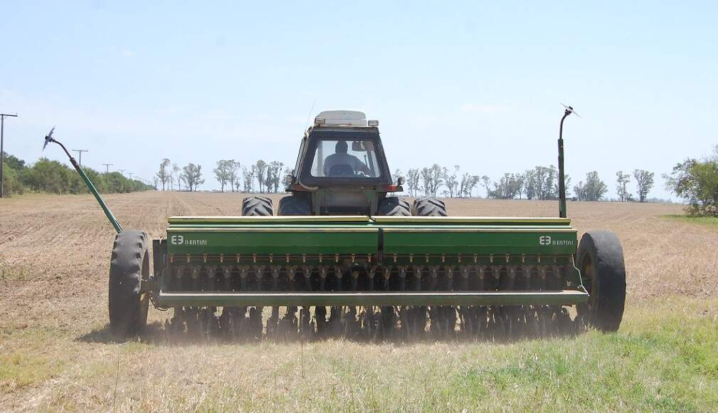 Sorgo, panorama Nacional , en rinde por hectarea.