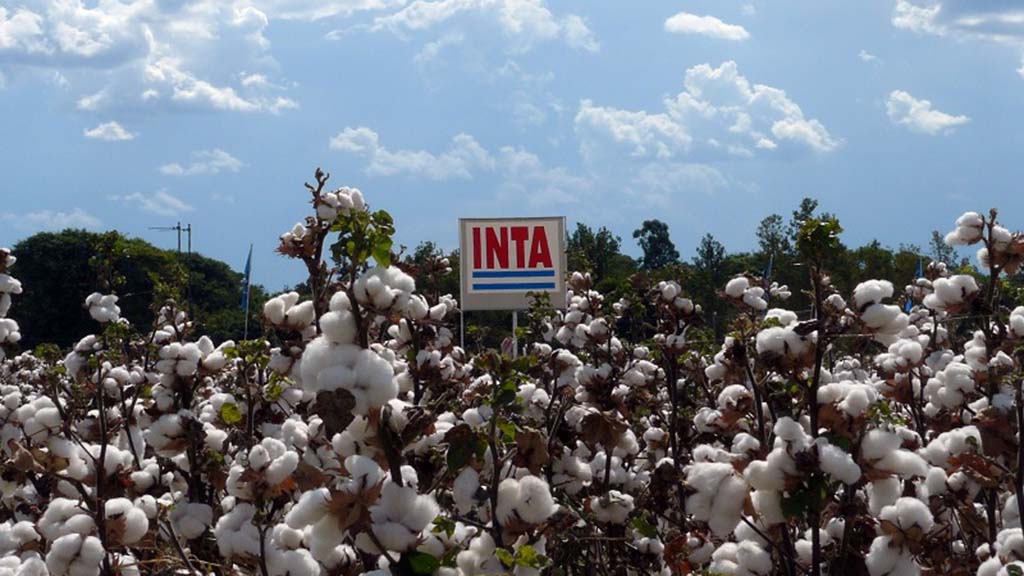 Balance 2022, en un año de muchos sobresaltos para el campo Argentino