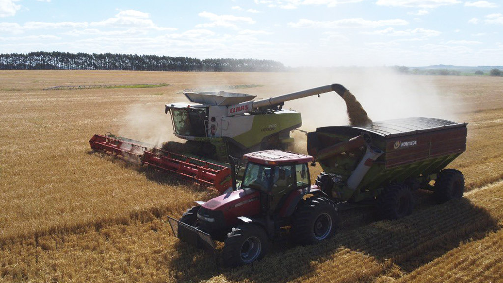 Cebada, el panorama a nivel nacional.