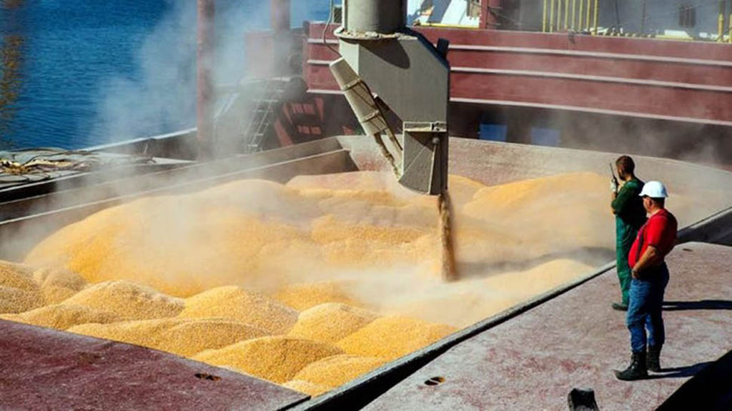 Maiz se prorroga por 180 dias las exportaciones.