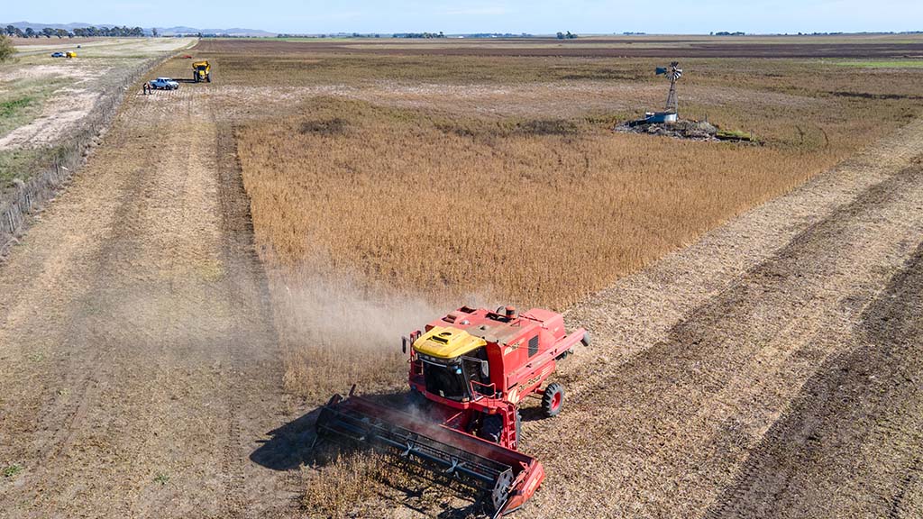 La Agricultura como opcion sostenible para el campo