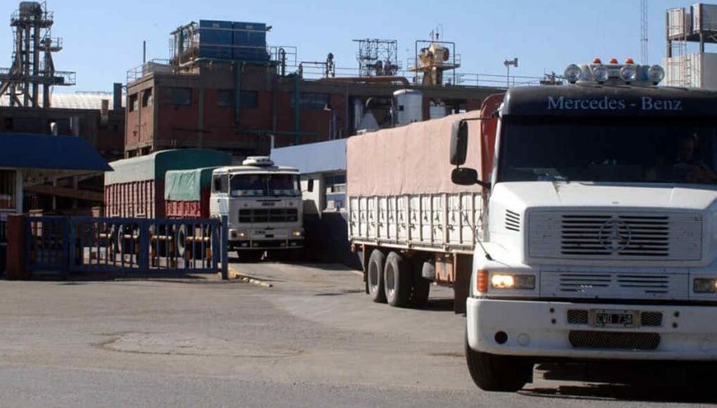 El trigo con poco volumen en el los puertos, por efecto de la sequia.