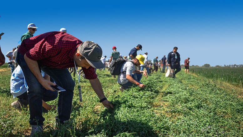 Expo Alfalfa  2023 en San Luis.