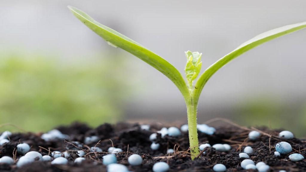Nutricion en el rendimiento.