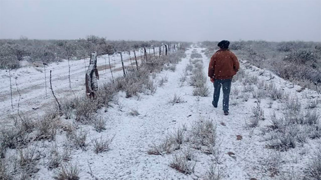 Alerta por posibles nevadas, en Region Pampeana.