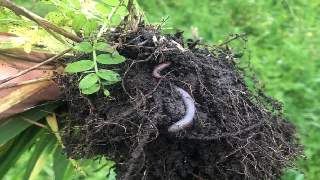 Agroecologia,rompiendo preconceptos.
