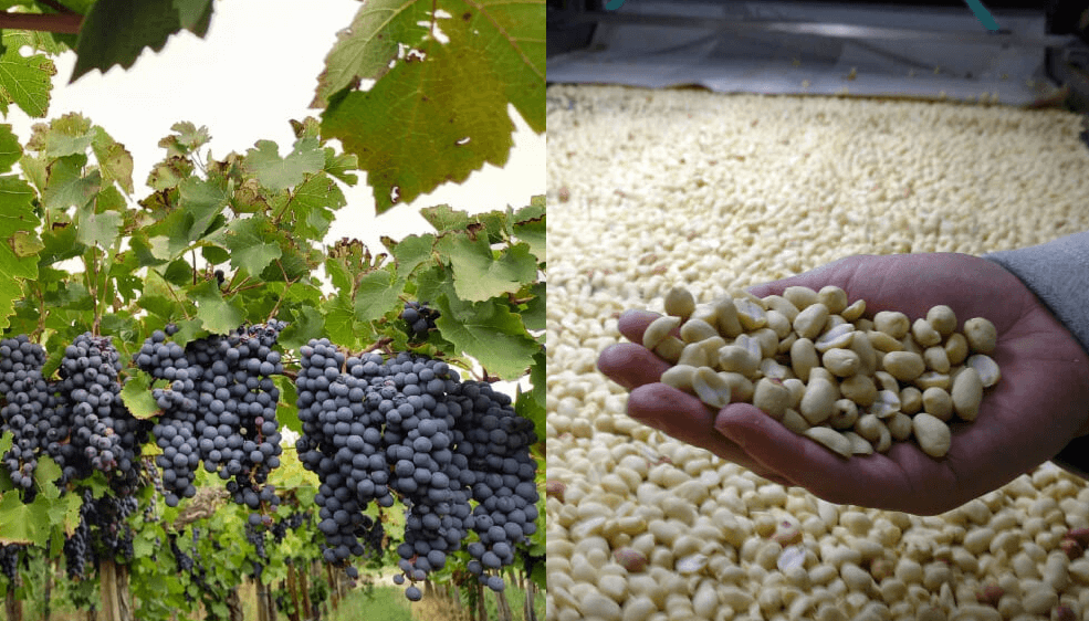 Fin de las retenciones del vino y el mani.