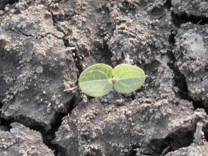 Dispositivo que permite monitoriar el agua.