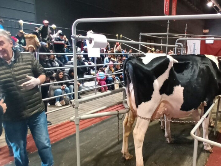 Rinde en tambos por litro de leche.